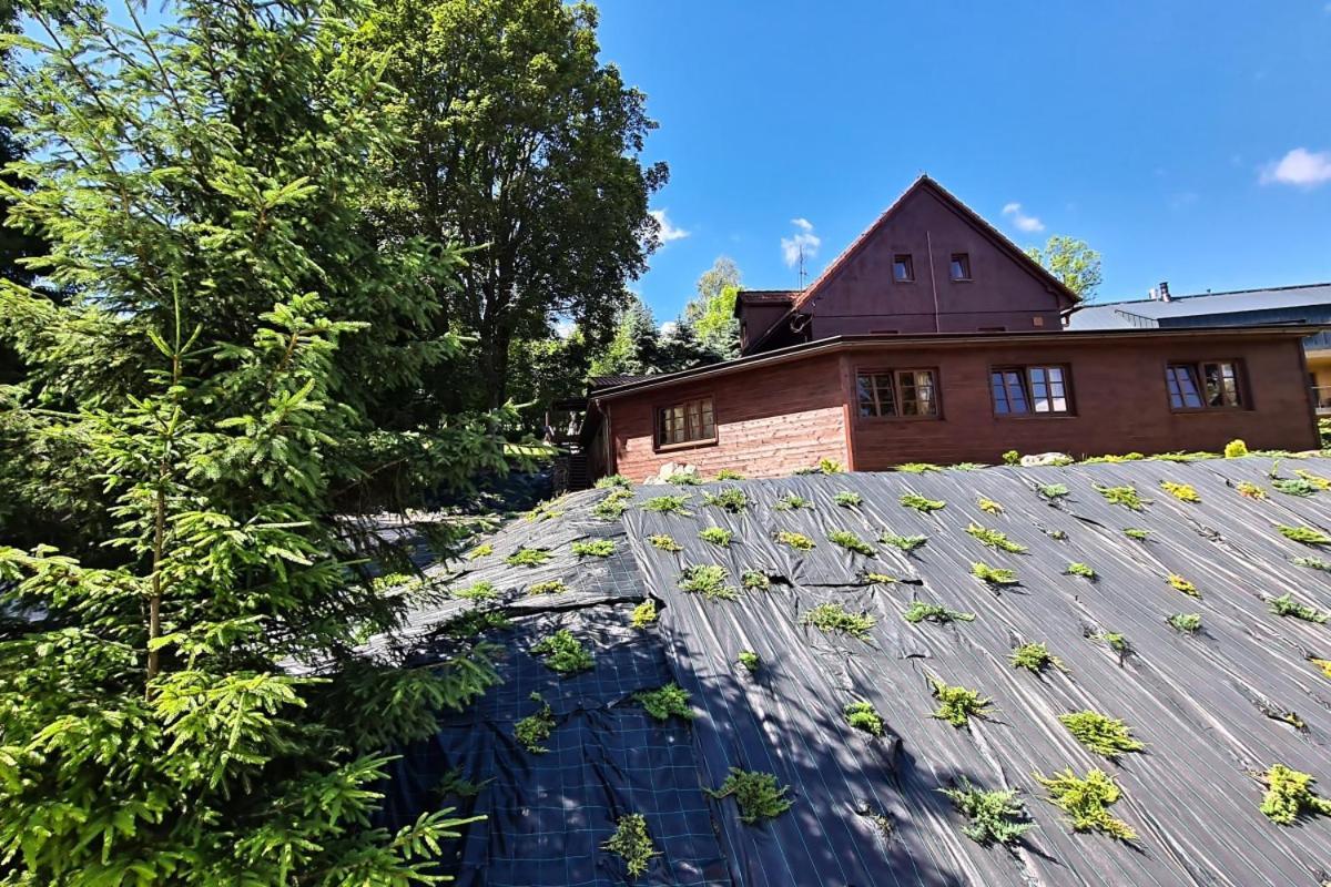 Penzion Harry Na Sjezdovce Krkonose Высоке-над-Йизероу Экстерьер фото