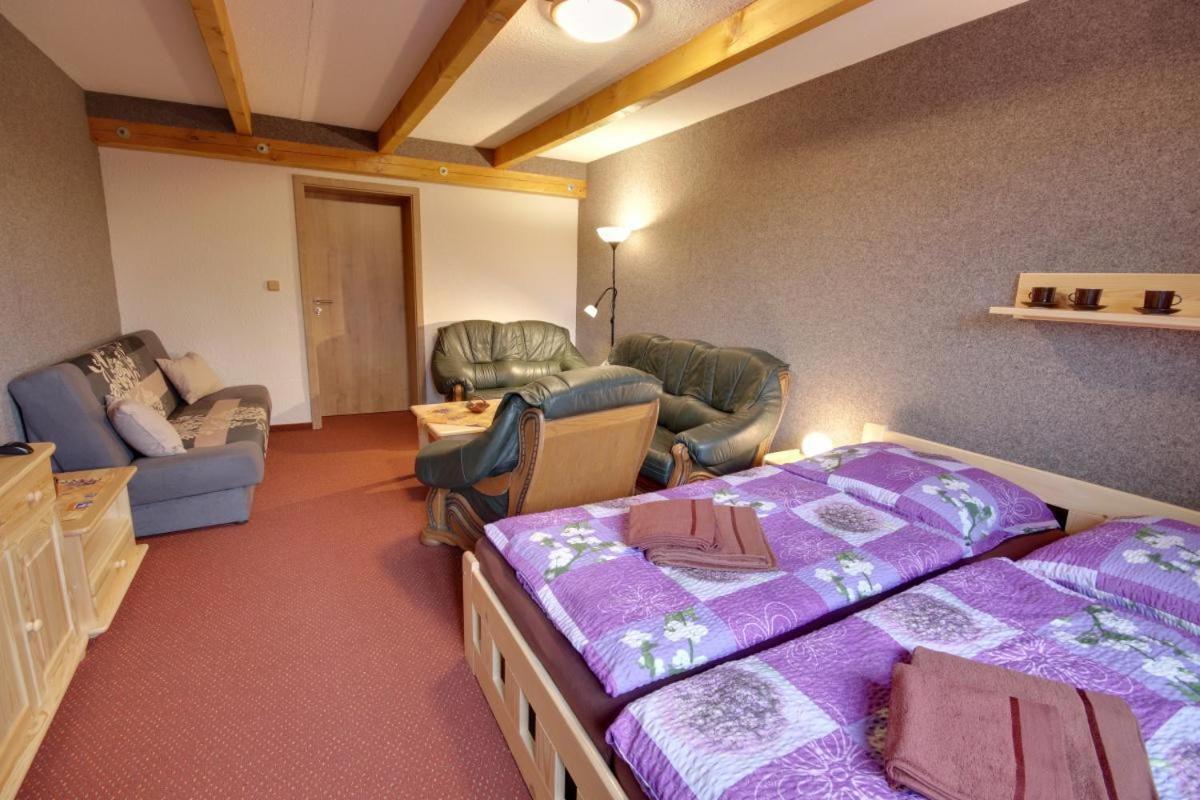 Penzion Harry Na Sjezdovce Krkonose Высоке-над-Йизероу Экстерьер фото