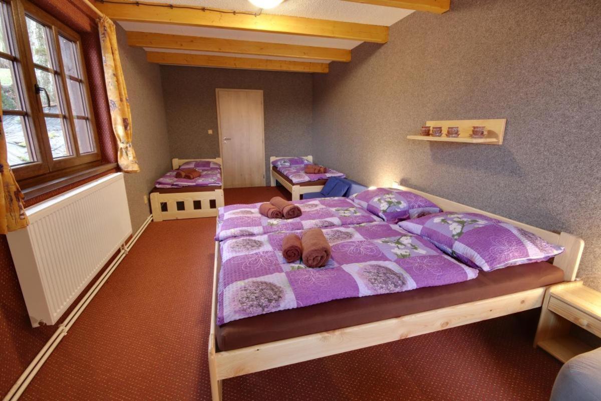 Penzion Harry Na Sjezdovce Krkonose Высоке-над-Йизероу Экстерьер фото